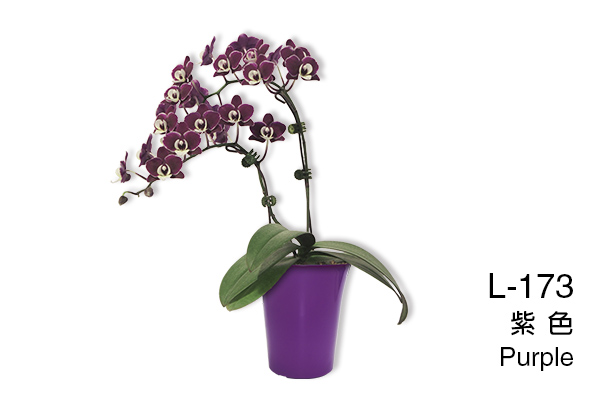 L-171 Scandinavian orchid planter