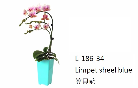 L186 aiermei joys of spring flower pot