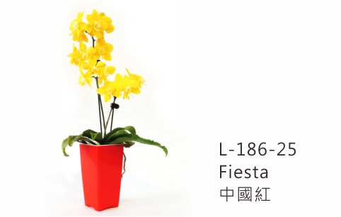 L186 aiermei joys of spring flower pot