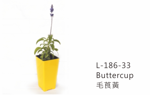 L186 aiermei joys of spring flower pot