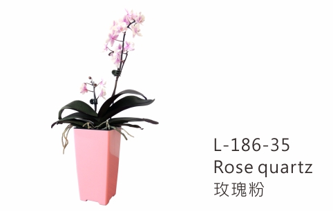 L186 aiermei joys of spring flower pot