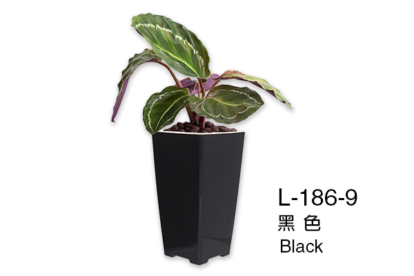 L186 aiermei joys of spring flower pot